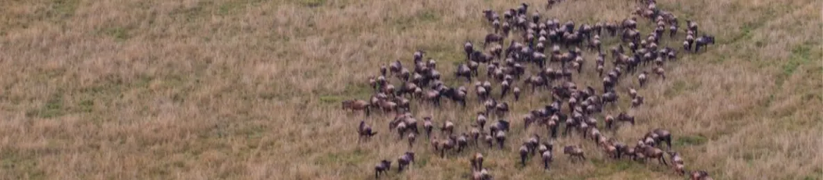 Serengeti National Park - Northern