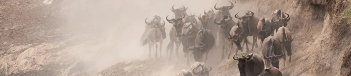 Serengeti National Park - Northern