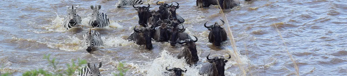 Serengeti National Park - Northern