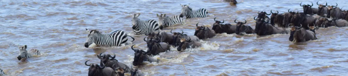 Serengeti National Park - Northern