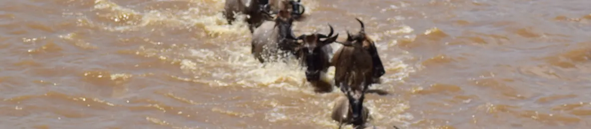 Serengeti National Park - Northern