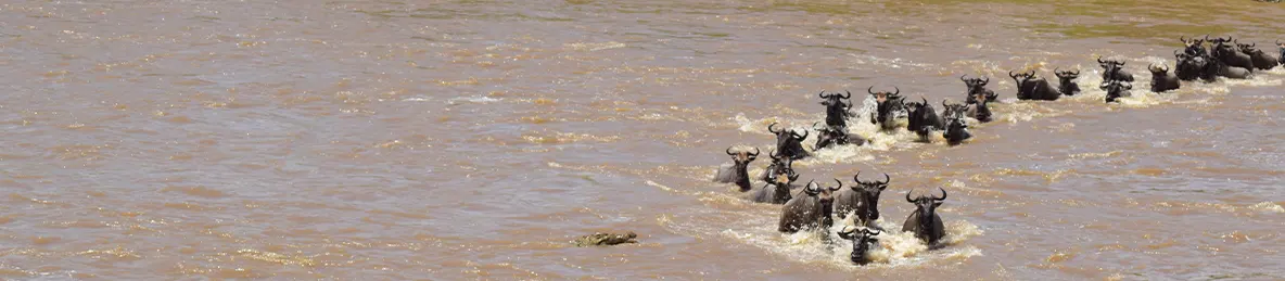 Serengeti National Park - Northern