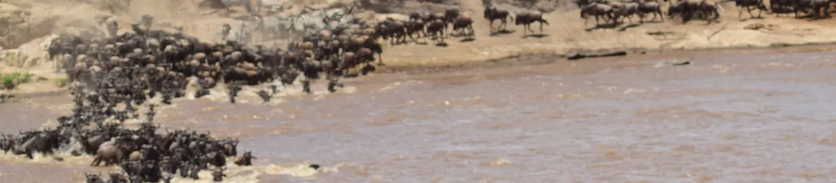Serengeti National Park - Northern