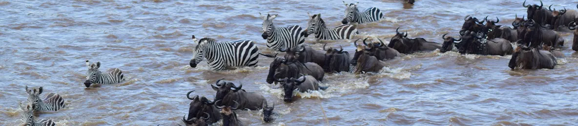 Serengeti National Park - Northern