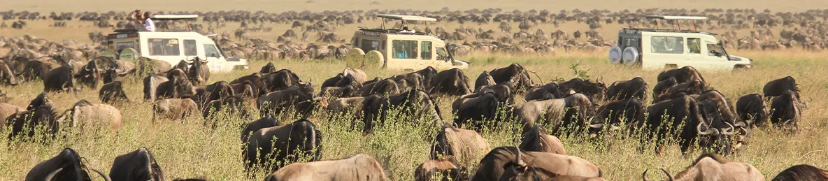 Serengeti National Park - Northern