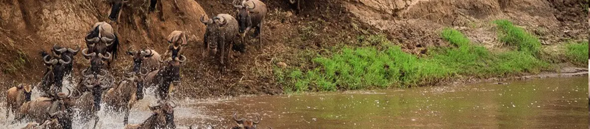 Serengeti National Park - Northern