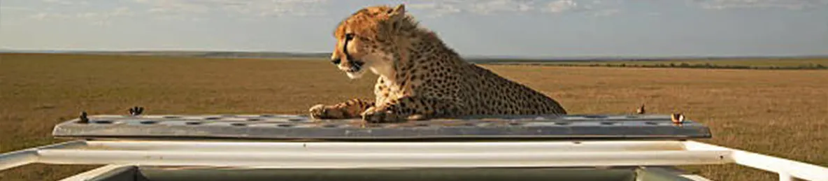 Serengeti National Park - Eastern