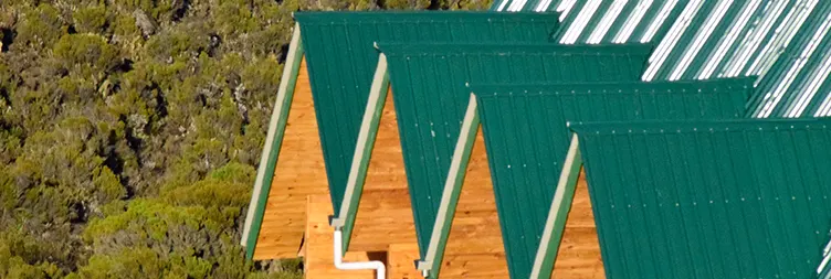 Mandara Hut to Horombo Hut