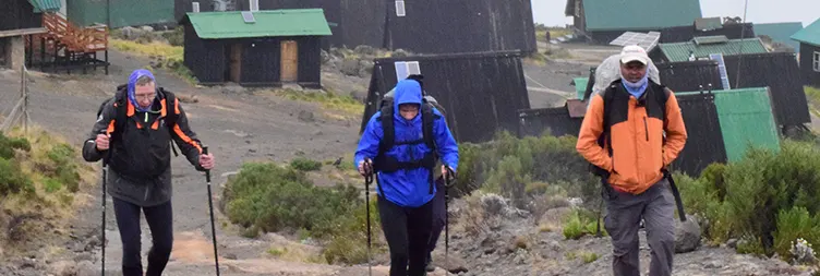 Mandara Hut to Horombo Hut.
