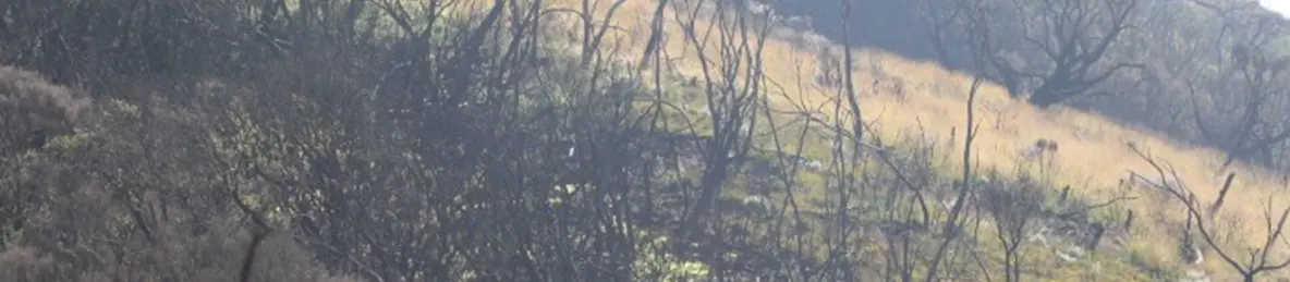 Kilimanjaro Marangu Route 