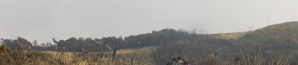 Kilimanjaro Marangu Route 