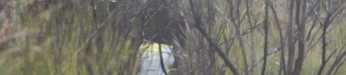 Kilimanjaro Marangu Route 