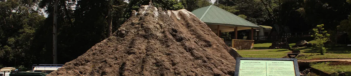 Kilimanjaro Marangu Route 