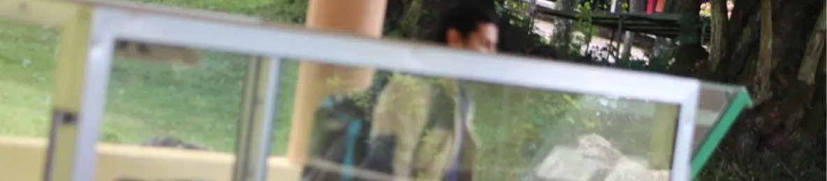 Kilimanjaro Marangu Route 