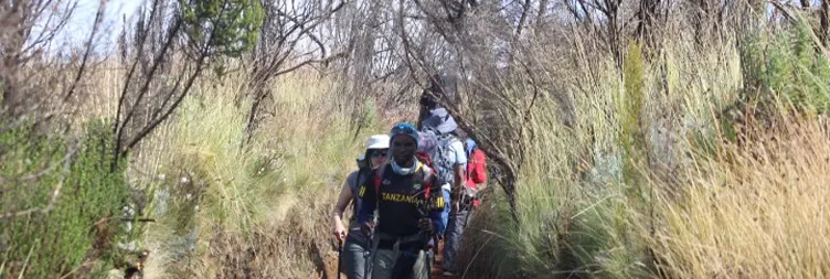 Horombo Hut Mandara Hut - Marangu Gate - Back to Moshi/Arusha