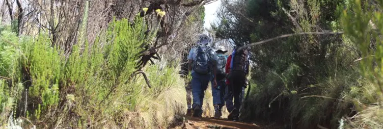 Horombo Hut - Mandara Hut - Marangu Gate - Back to Moshi/Arusha
