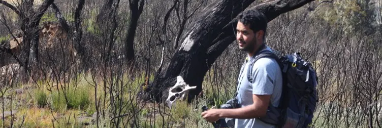 Horombo Hut - Mandara Hut - Marangu Gate - Back to Moshi/Arusha 