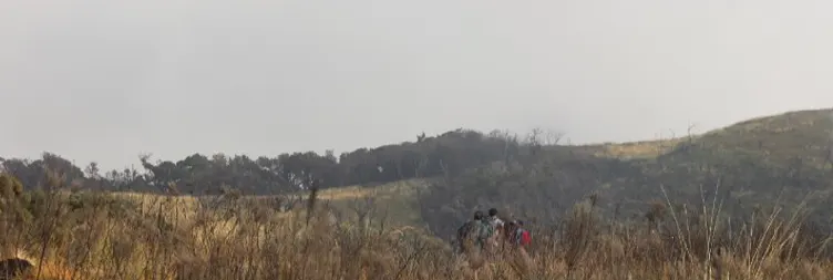 : Horombo Hut - Mandara Hut - Marangu gate - Back to Moshi/Arusha 