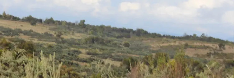 Horombo Hut Mandara Hut - Marangu Gate - Back to Moshi/Arusha 