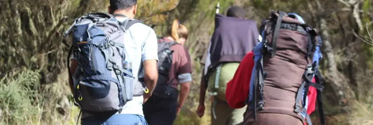 Horombo Hut - Mandara Hut - Marangu Gate - Back to Moshi/Arusha