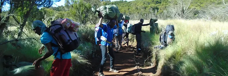 Horombo Hut Mandara Hut - Marangu Gate - Back to Moshi/Arusha 