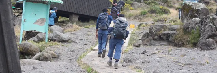 Horombo Hut -Mandara Hut - Marangu Gate - Back to Moshi/Arusha 