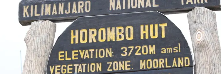 Horombo Hut -  Mandara Hut - Marangu Gate - Back to Moshi/Arusha