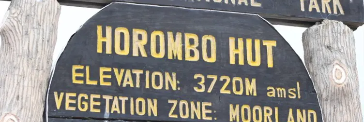 Horombo Hut to  Mandara Hut to Marangu gate  Back to Moshi/Arusha