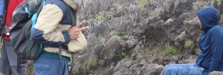 Horombo Hut- Mandara Hut - Marangu Gate - Back to Moshi/Arusha
