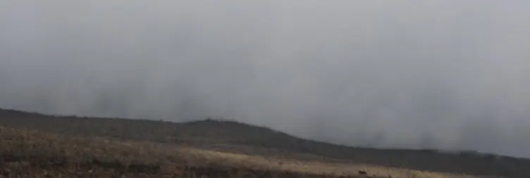 Horombo Hut to Mandara Hut to Marangu Gate  Back to Moshi/Arusha