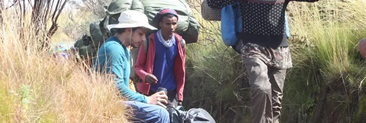 Horombo Hut to Mandara hut to Marangu gate  Back to Moshi/Arusha