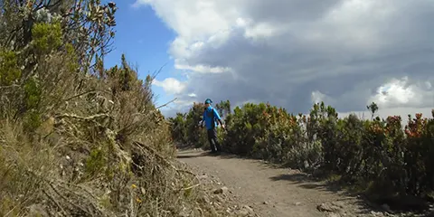 6 Days Rongai Route Kilimanjaro Trekking Eternally 