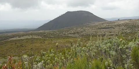 6 Days Trailblazers Triumph Rongai Route Kilimanjaro 