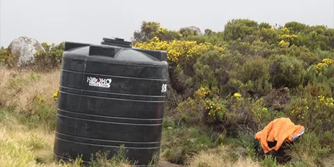 cover-7 Days Rongai Majesty Kilimanjaro Hiking Extravaganza 