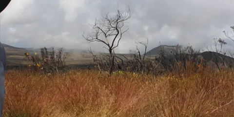 6 Days Exclusive Trekking to Kilimanjaro Rongai Route