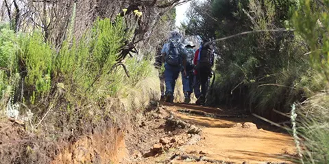 cover-5 Days Marangu Route to Kilimanjaro Hiking Tour