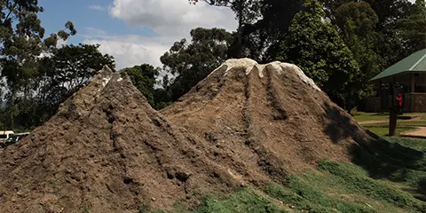 cover-6 Days Rongai Radiance Kilimanjaro Trekking Adventure