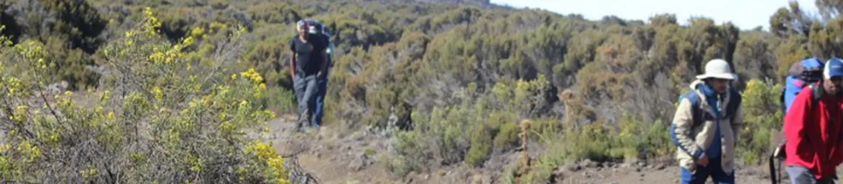 Kilimanjaro Marangu Route 
