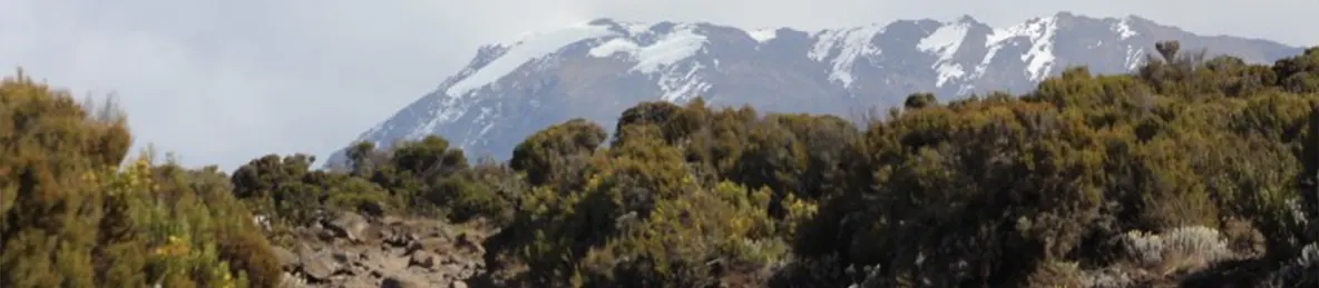 Kilimanjaro Marangu Route 