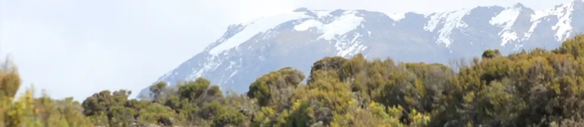 Kilimanjaro Marangu Route 