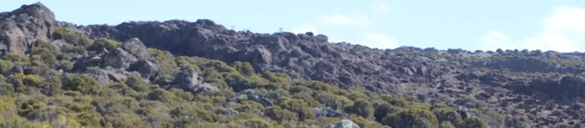 Kilimanjaro Marangu Route 