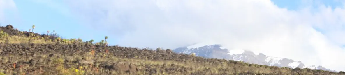 Kilimanjaro Marangu Route 