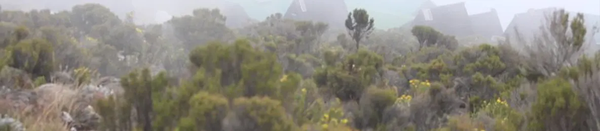 Kilimanjaro Marangu Route 