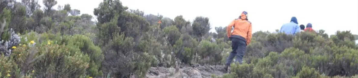 Kilimanjaro Marangu Route 