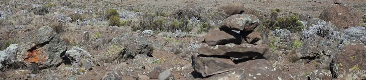 Kilimanjaro Marangu Route 