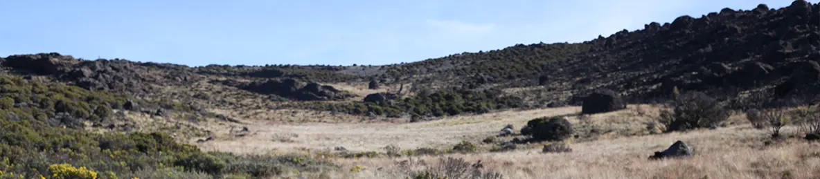 Kilimanjaro Marangu Route 