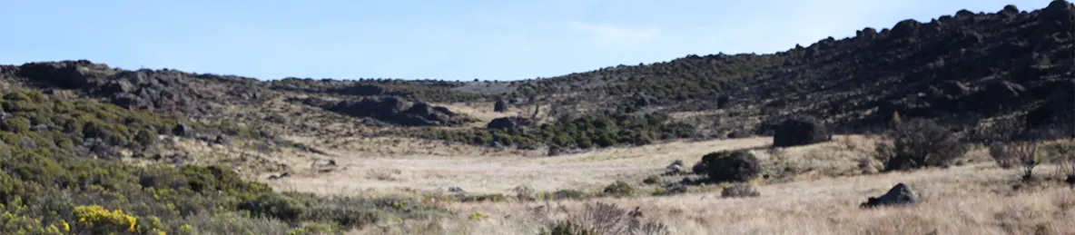 Kilimanjaro Marangu Route 