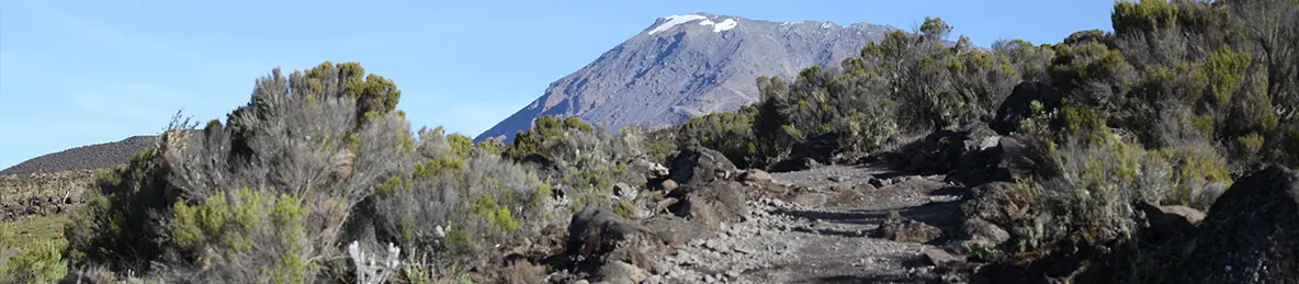 Kilimanjaro Marangu Route 