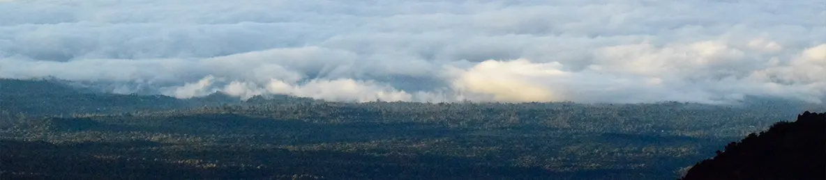 Kilimanjaro Marangu Route 