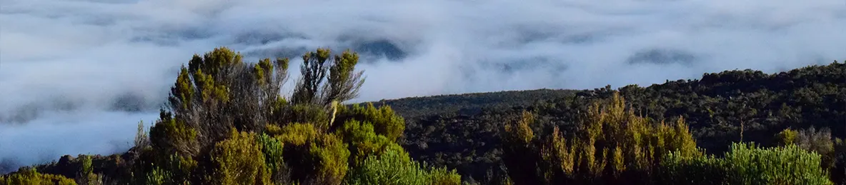 Kilimanjaro Marangu Route 
